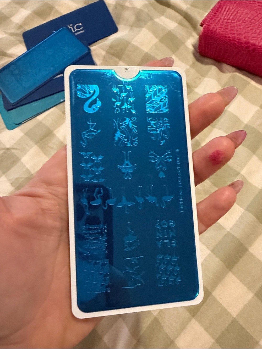 Blue Nail Stamping Plate Set – Professional Nail Art Tool